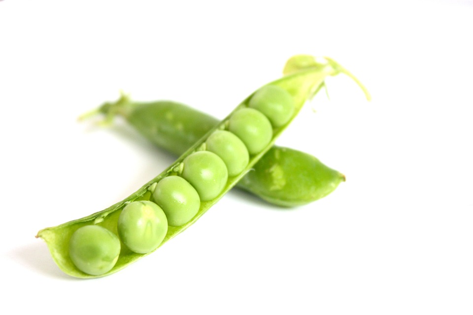 Two pods of peas.